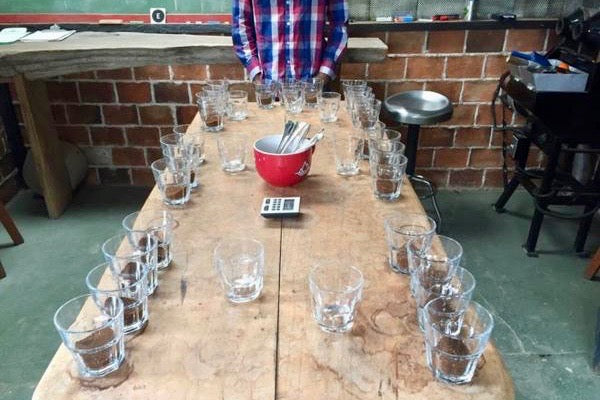 グアテマラボーイのコーヒー農園レポート　その１