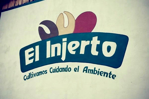 グアテマラボーイのコーヒー農園レポート　その2