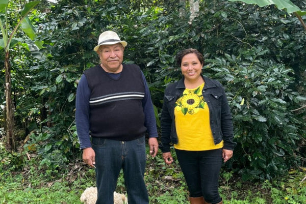 Catuai Amarillo Cooperative / MEXICO Washed
