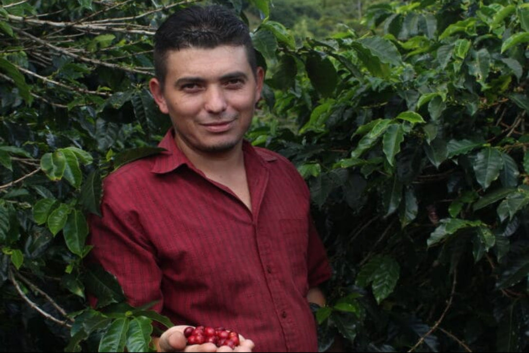 【New!!】Yelstin Sagastume  / HONDURAS　ジェルスティン サガストゥメ - Washed -