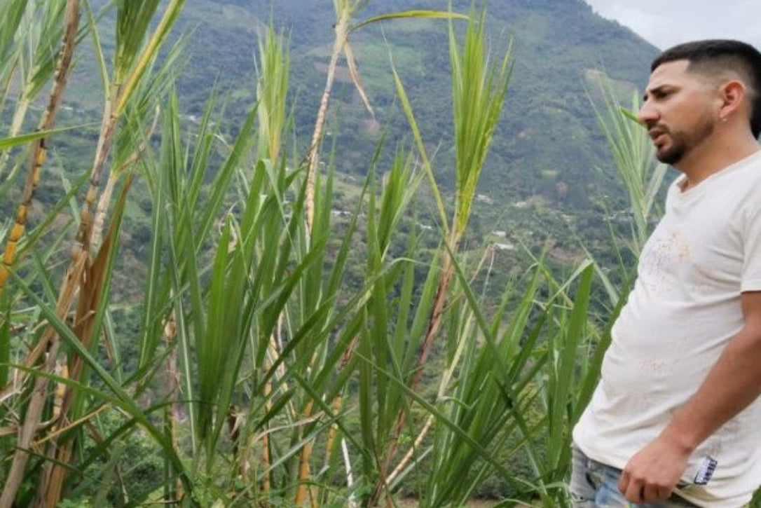 【New!!】Alejandro Males  / COLOMBIA　アレハンドロ マレス - Washed -